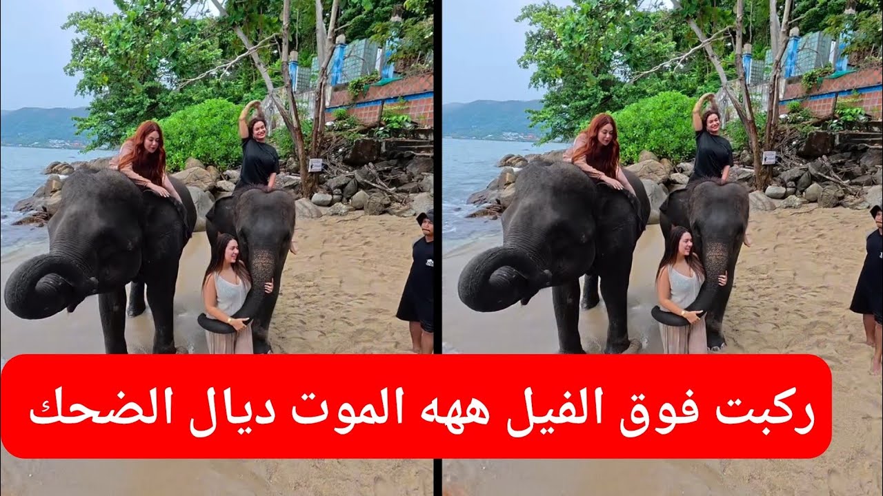 يوميات رجاء اللفيعة 😅 ركبت فوق الفيل ميمكنش الإحساس ديالي في هذه اللحظة ههه