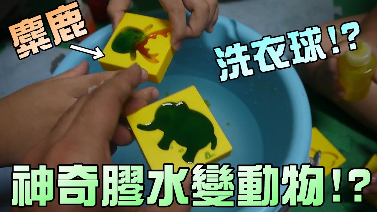 神奇膠水！？碰到水變成魚啦！大嘴嘴