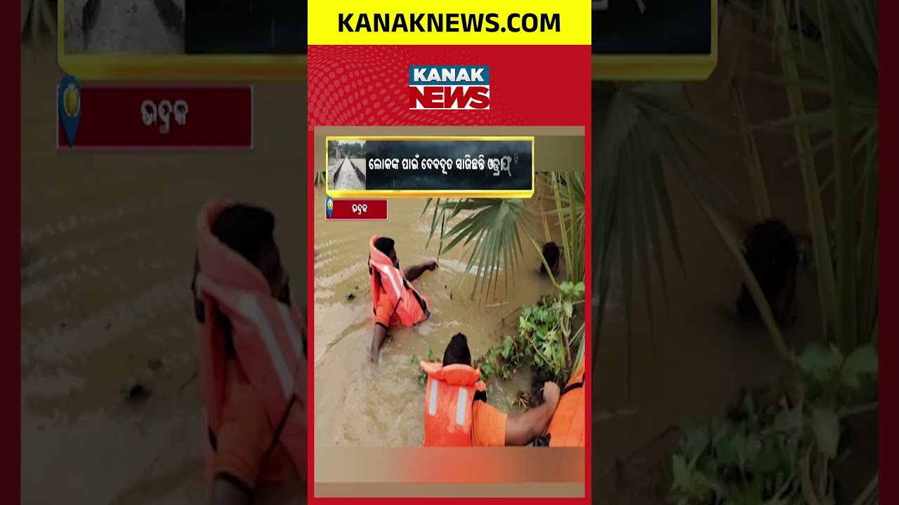 ODRAF Team Turns Saviour! Heroes Rescue People Amid Flood Crisis