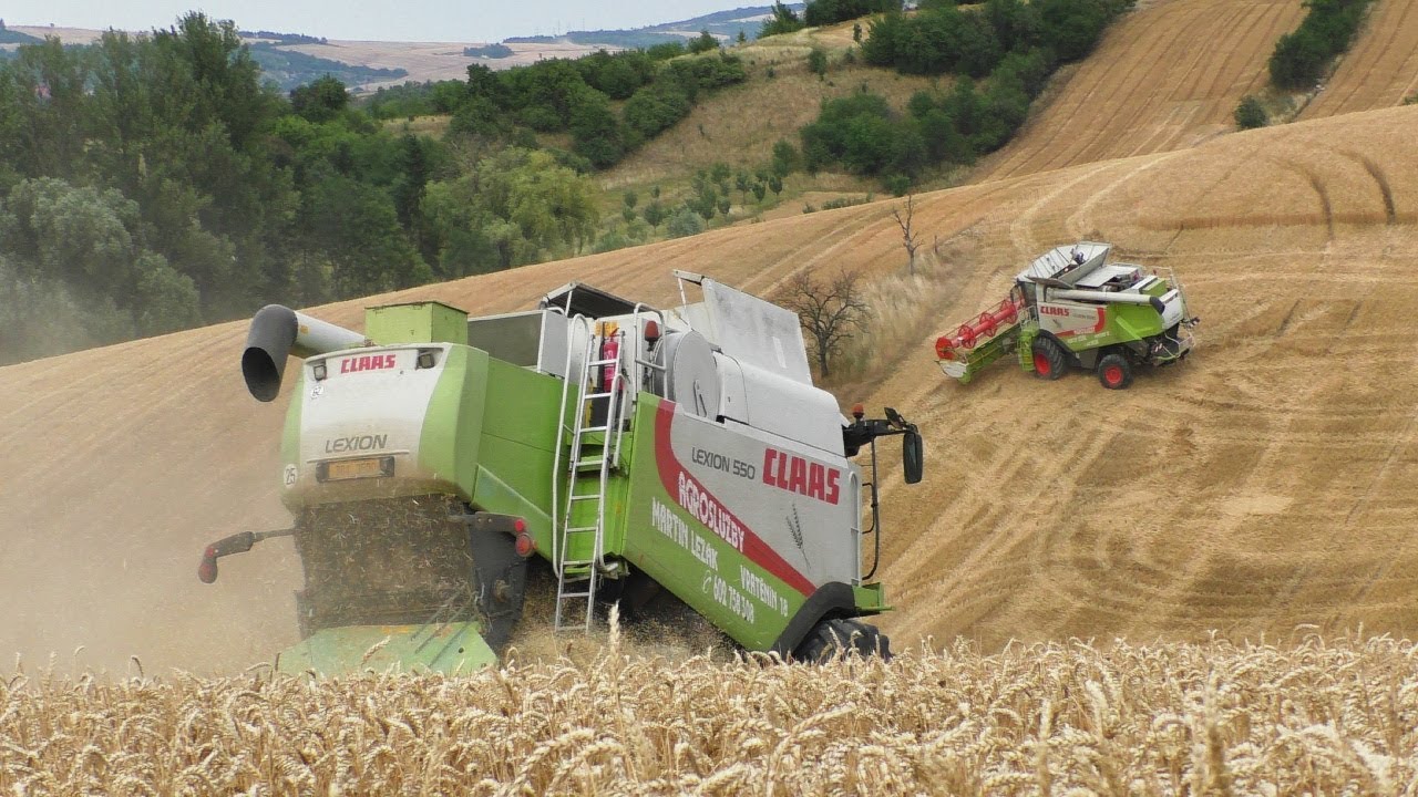 EXTREME HARVEST ON SOUTH MORAVIA | BIG HILLS | COMBINE