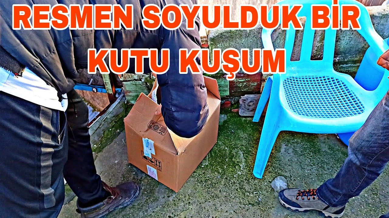 RESMEN SOYULDUK BİR KUTU DOLUSU KUŞUMUZU ALDİ BİR SELAM VERDİK BORÇLU ÇİKTİK