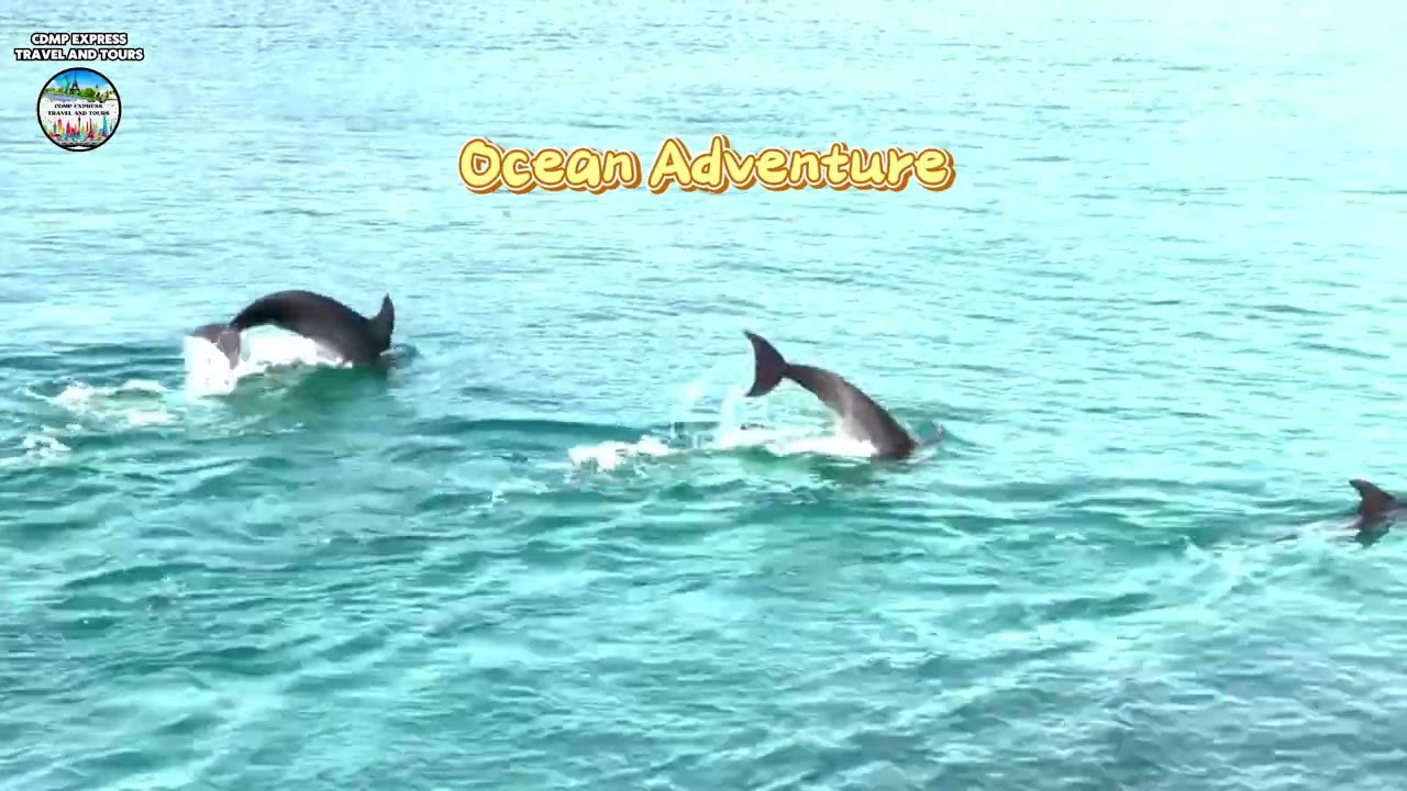 THERE'S SO MUCH MORE TO EXPLORE IN SUBIC BAY 