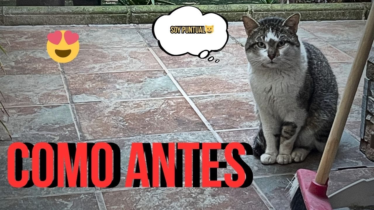 Ha vuelto como al principio | DÚO