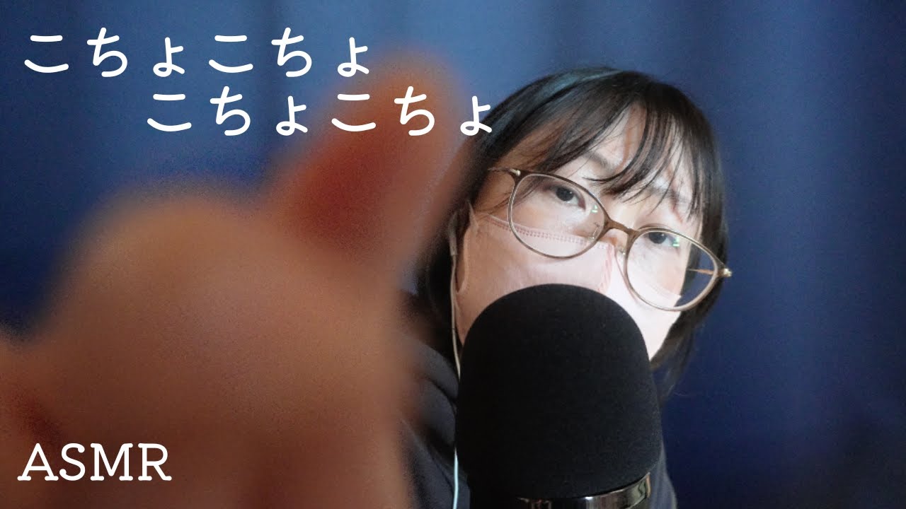 [ASMR]こちょこちょこちょこちょ｜ひたすらこちょこちょ