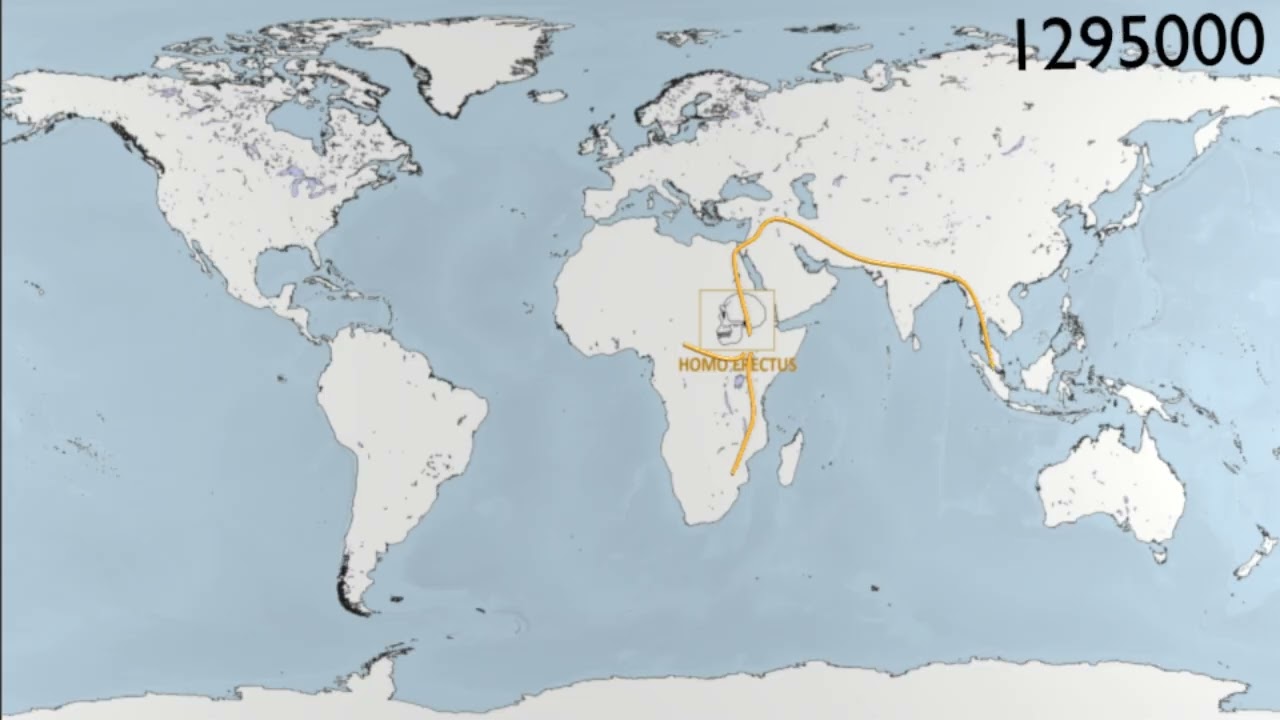 Evolution of the Genus Homo