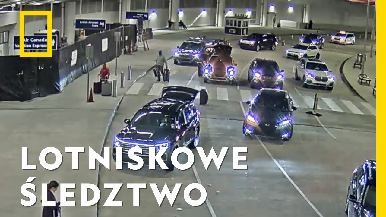 Wytropił właściciela bagażu z cenną zawartością | National Geographic [lektor PL]