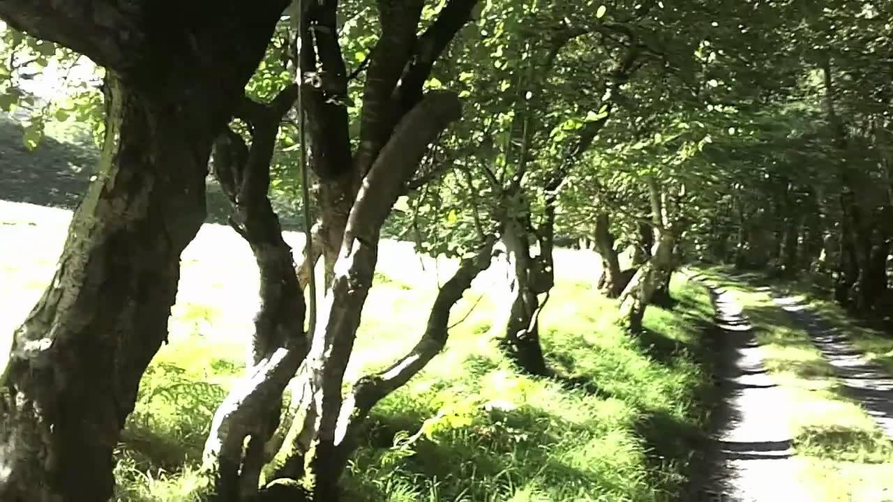 Journey to Bron-yr-Aur