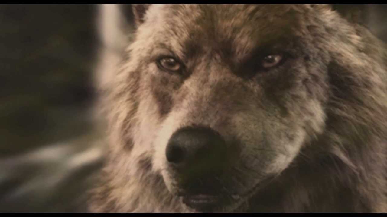 Jacob Black and Renesmee Cullen