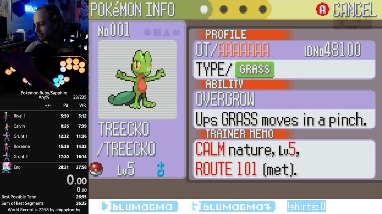 Ruby Any% WR Attempts!