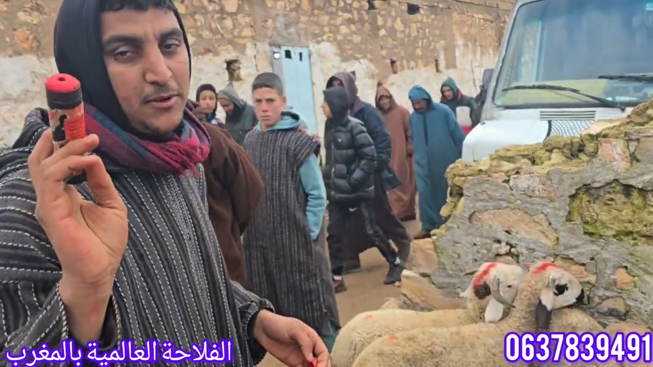 مباشر من سوق تلات ولاد فارس بالتاريخ 27\1\2027