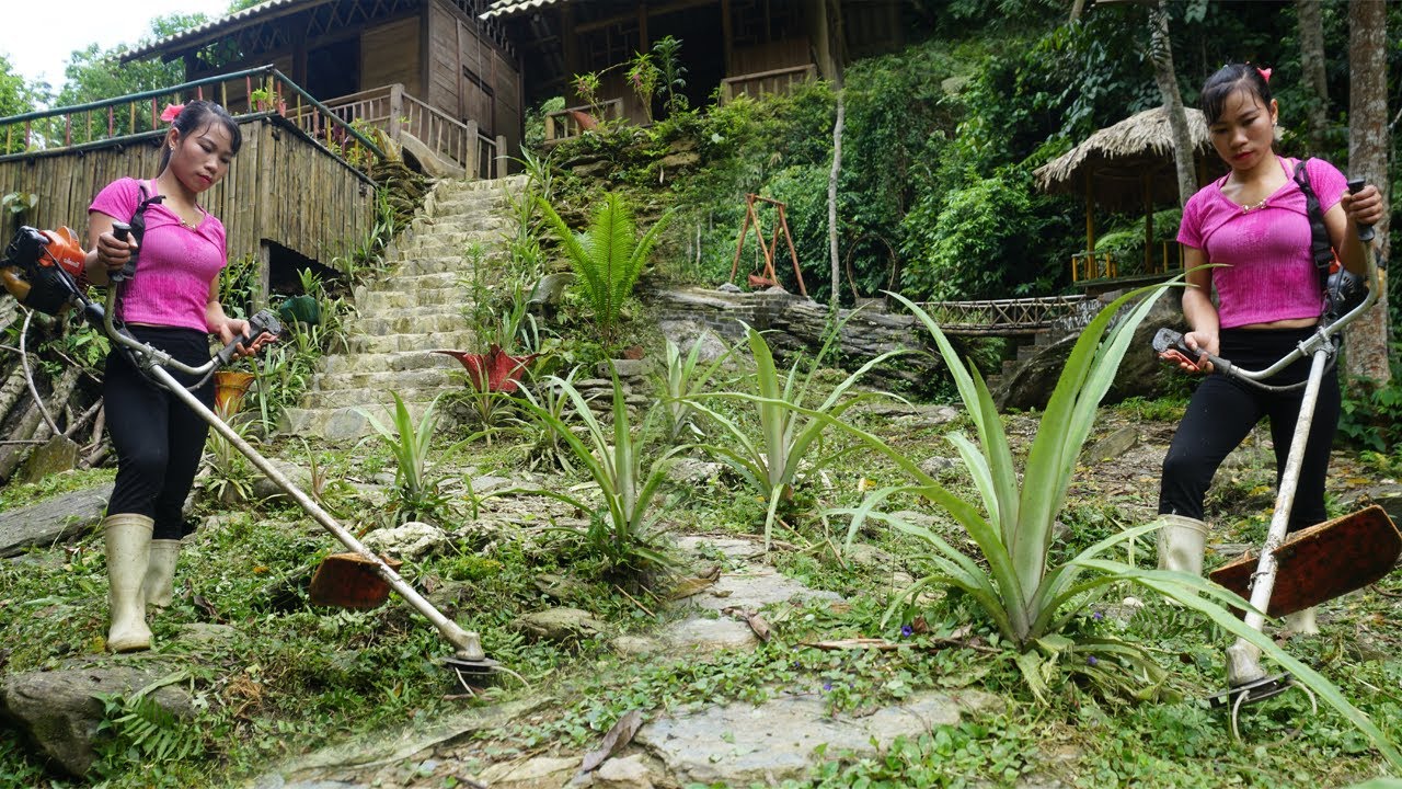 Ms Ca - Revisit the Farm After 60 Days of Repairs, Weeding Around the House and Cooking