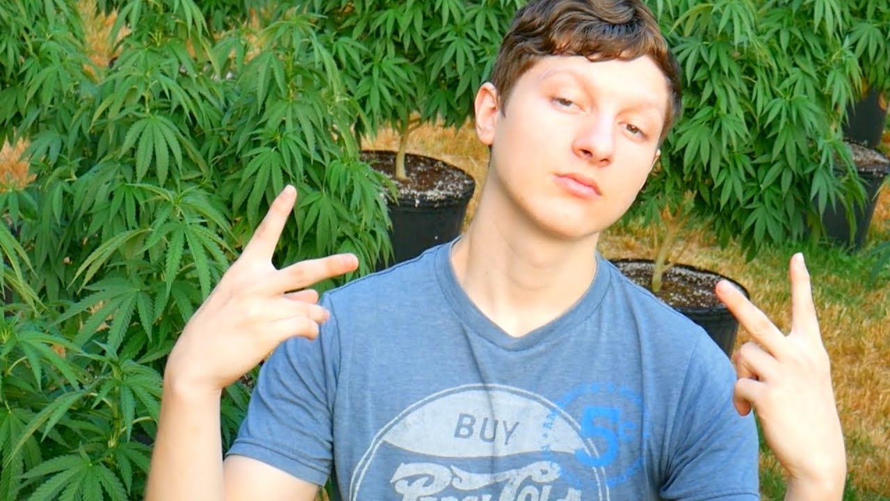 WEED GROW TOUR!