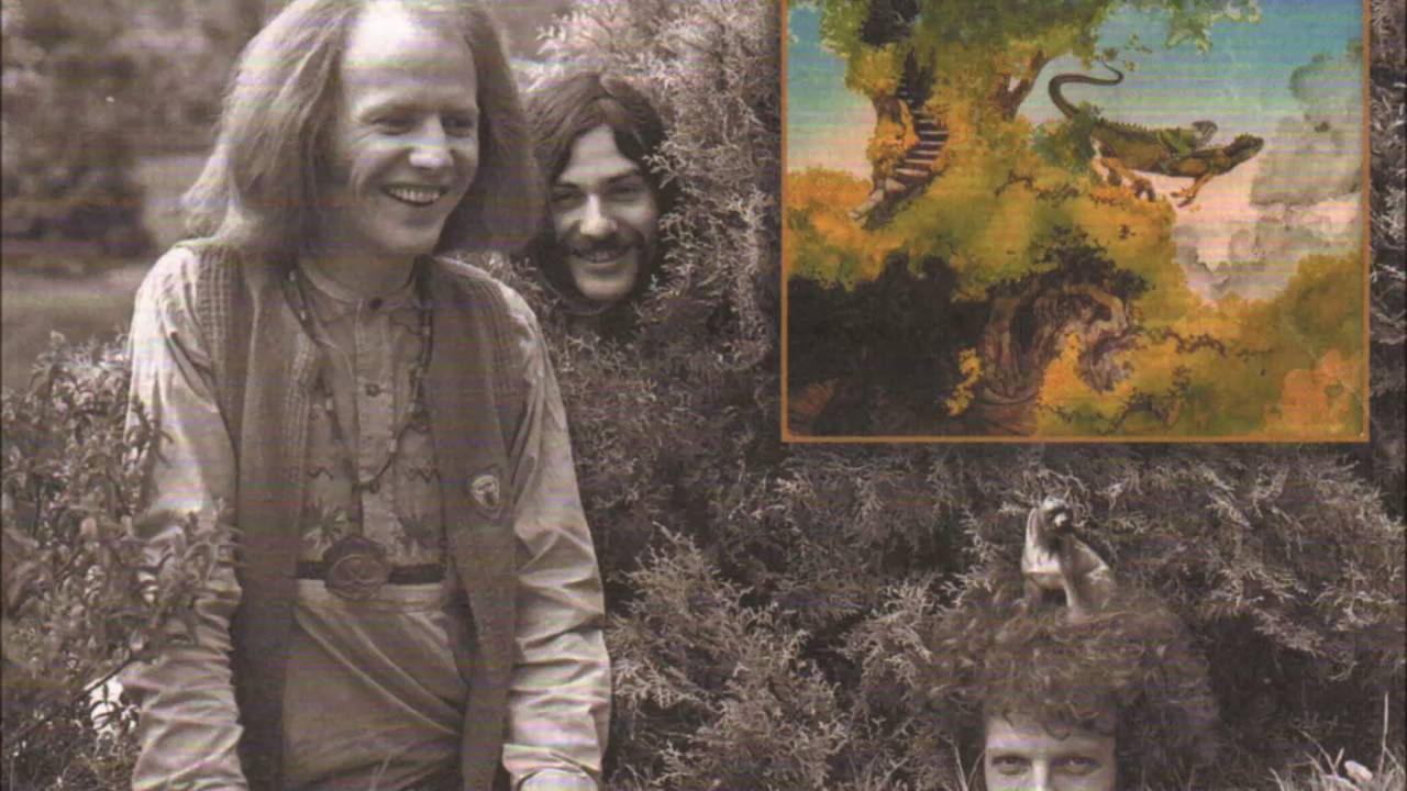 Dr Strangely Strange – Heavy Petting (Side 1) Very Rare `Acid Folk` LP £600 Vertigo Swirl