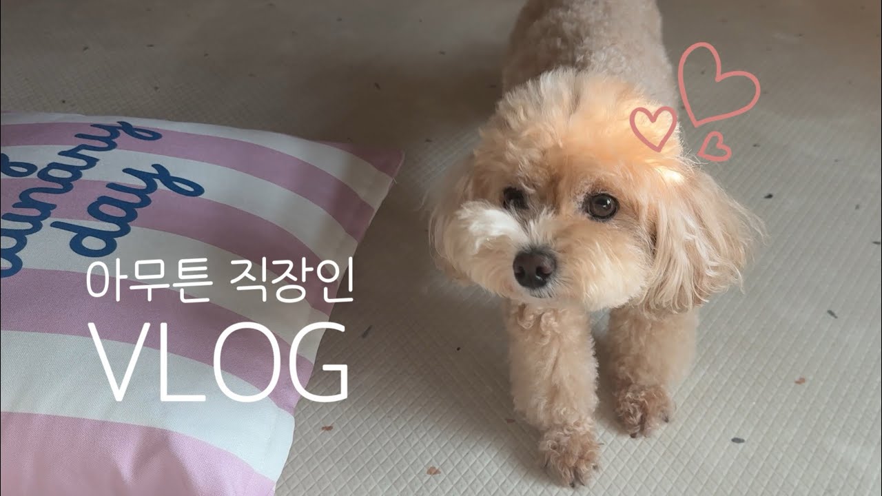 [vlog.] 최대한 있는 영상 없는 영상 끌어모은 브이로그 | 너무 힘든 감기 후유증🤧 | 주말 이태원 나들이 | 소브 한남 | 말차라떼 🍵