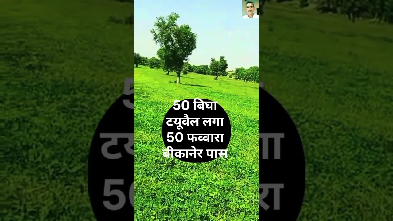 50 bigha farm house for sale, 27 km away from Bikaner