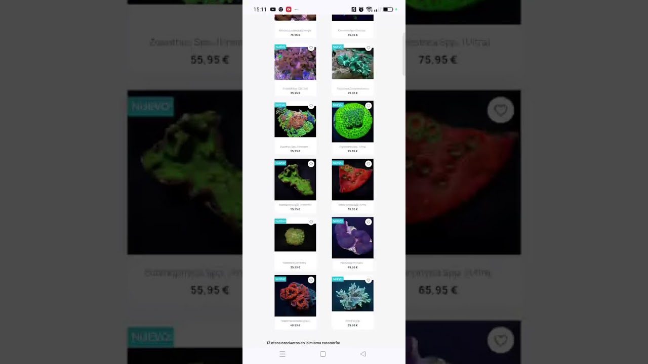 🔴Corales.com La mayor web de venta de corales de Europa