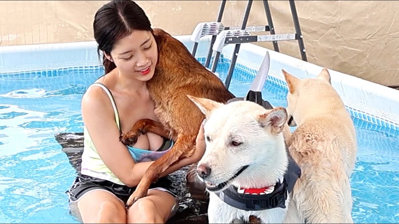 뭔 개가 수영을 못해?! 네.. 수영 못하는 개 여기 있는데...ㅠㅠ / 수영 못하는 강아지를 위해 주인이 결심한 행동?!