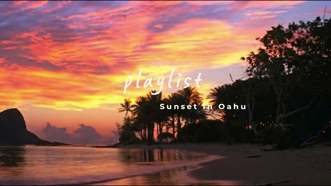 90분 지금 이 순간, 하와이 오아후 섬의 가장 아름다운 일몰  Sunset Loun