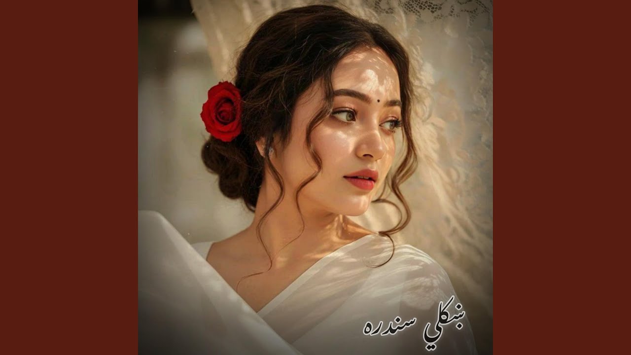 Tola Meena Meena Yam نوی پښتو سندره