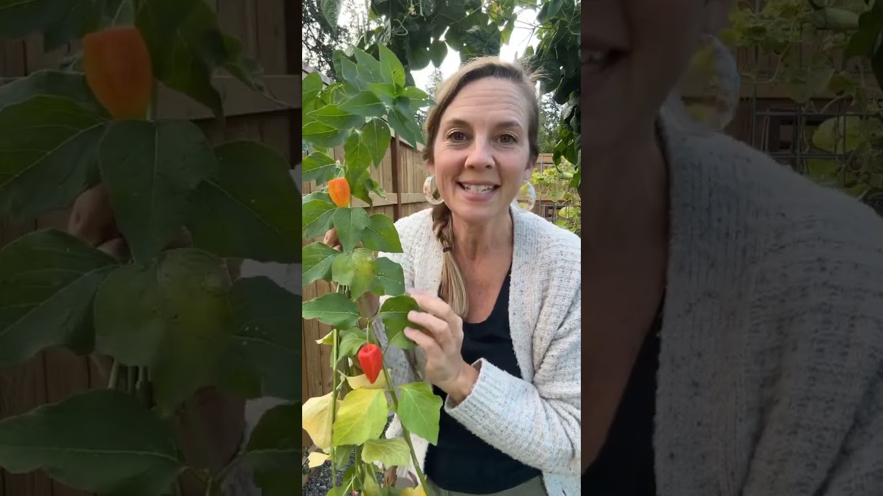 Секрет китайских фонариков