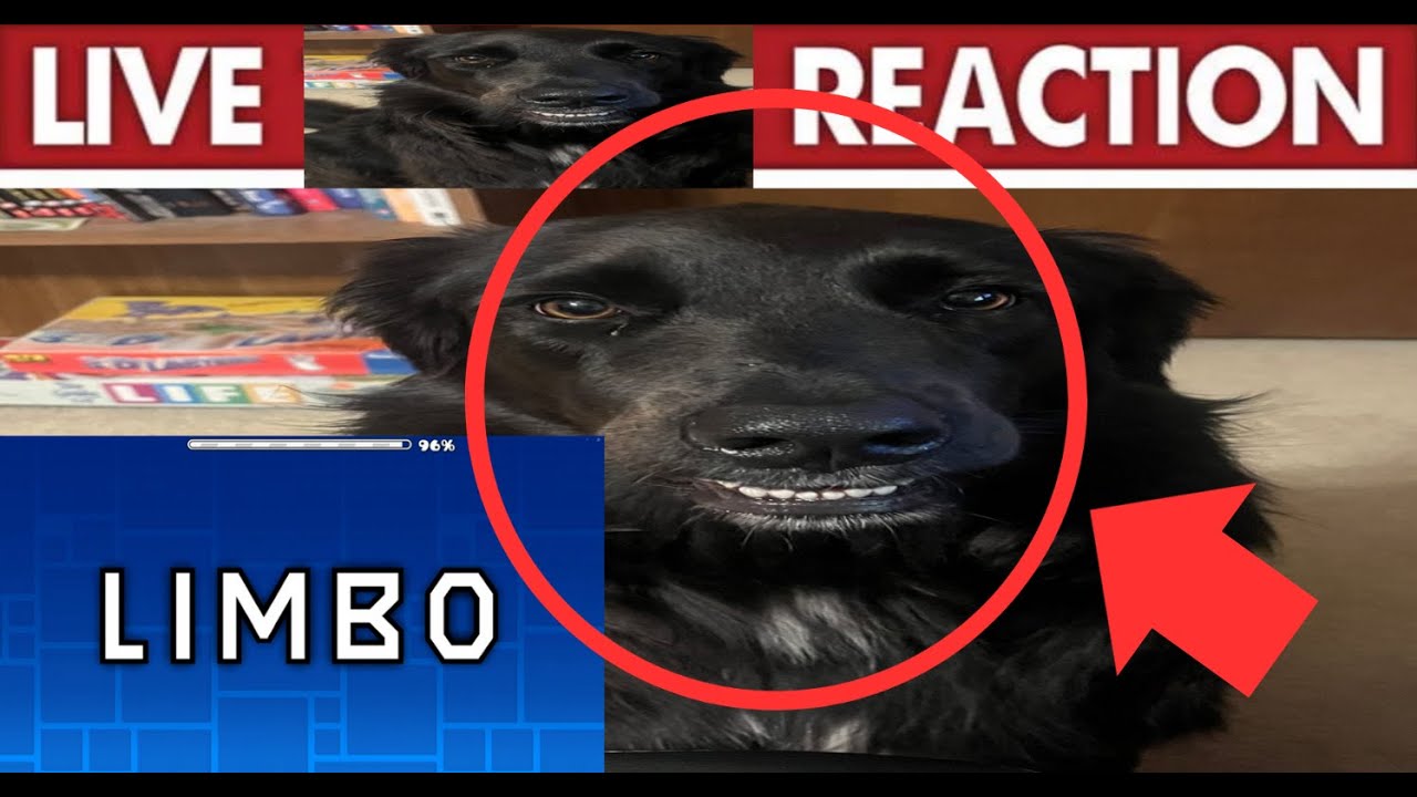 [JUMP FROM ARTIFICIAL ASCENT] // LIMBO 100% // 5TH EXTREME