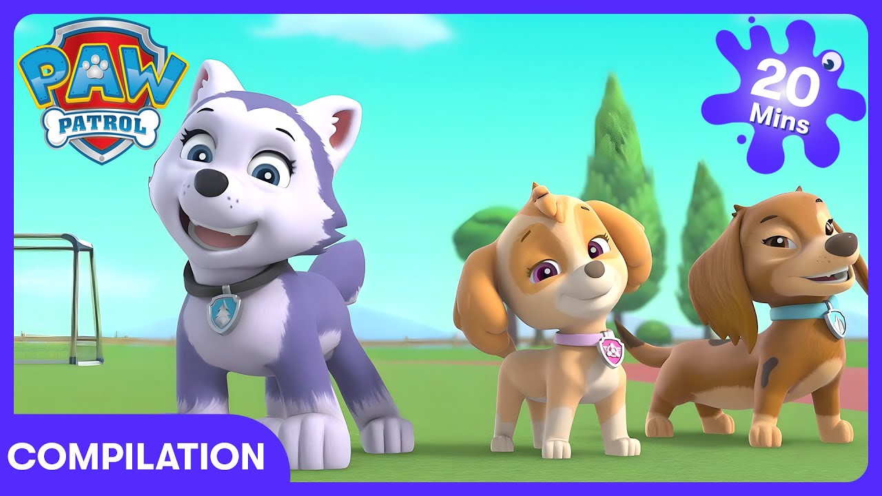 Girl Power | Paw Patrol | WildBrain Disco