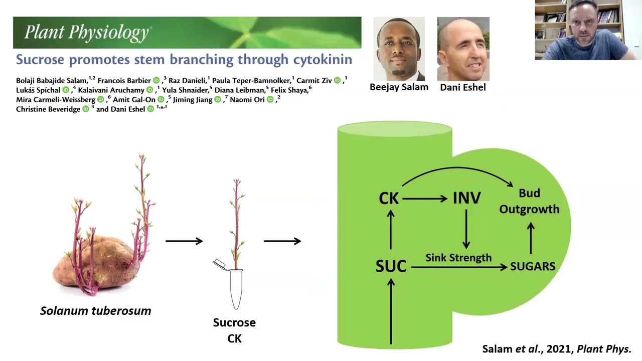 Francois Barbier 'A sugar signalling network controls shoot branching plasticity'
