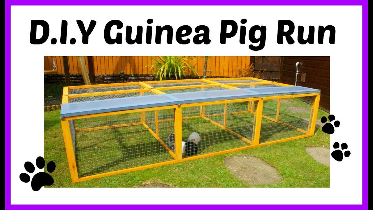 D.I.Y Guinea Pig Run