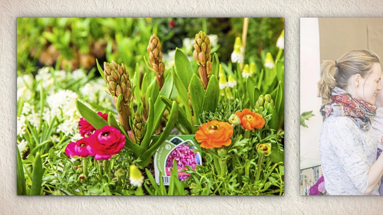 Blumen Znidar