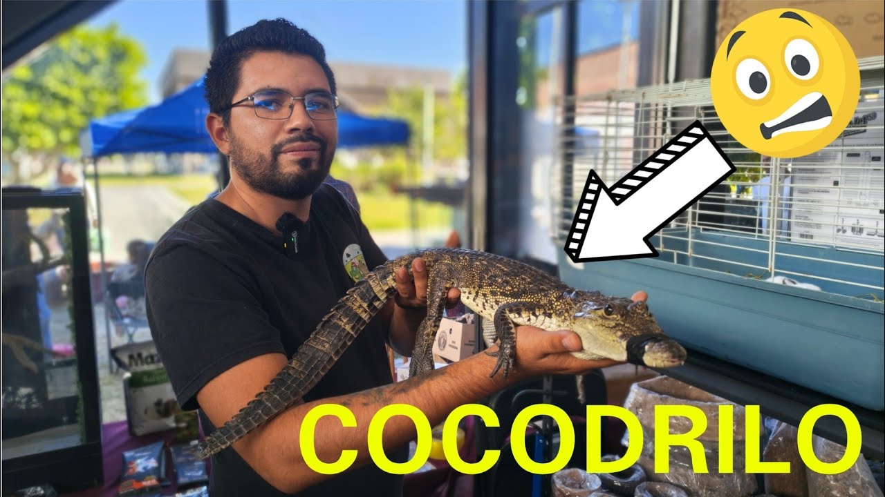 Mi Amigo Javier Tiene un COCODRILO de MASCOTA y Así es Como lo CUIDA (Chars Fishers)