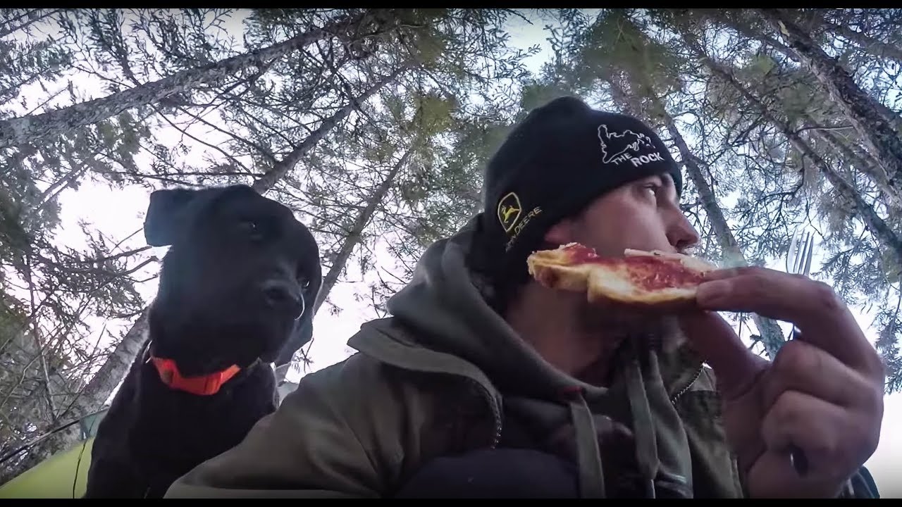 A Cold Spring Night in the Newfoundland Bush with Dogs