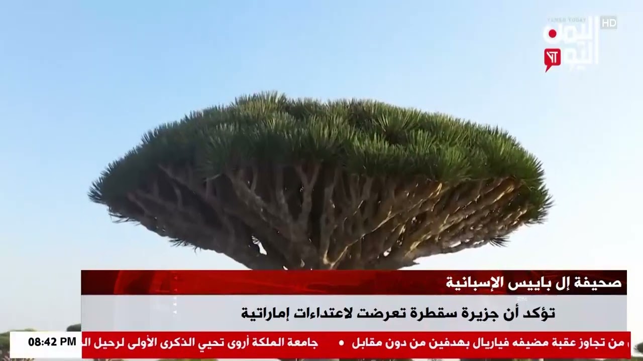 شاهد || صحيفة إل باييس الإسباني تؤكد أن جزيرة سقطرة تعرضت لاعتداءات إمارتية - 25-01-2026م