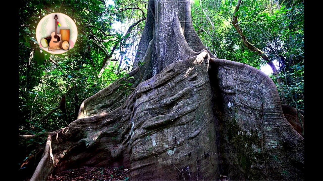 USOLFA (Música Oficial)