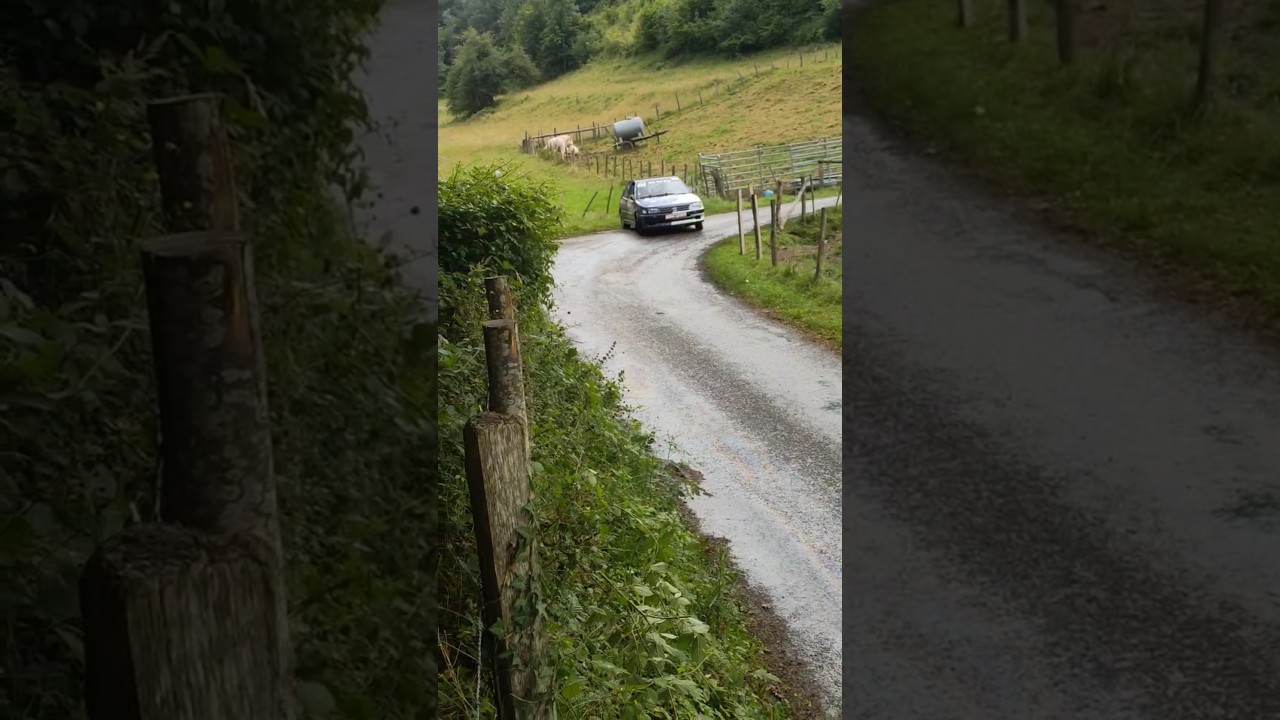 Rallye Saint-Marcellin 2024 RAMBERT DAVID ISMAEL & ANDRE-POYAUD PIERRE #rally #fun #car #like #yt