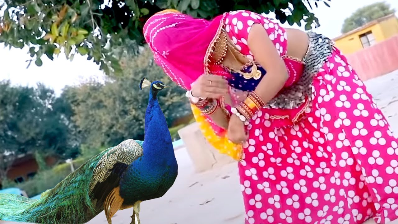 पूरी दुनिया दीवानी हो गई इस हनुमान भजन के पीछे आप भी एकबार जरूर सुने #Lal Langote Wala #Raju_Punjabi