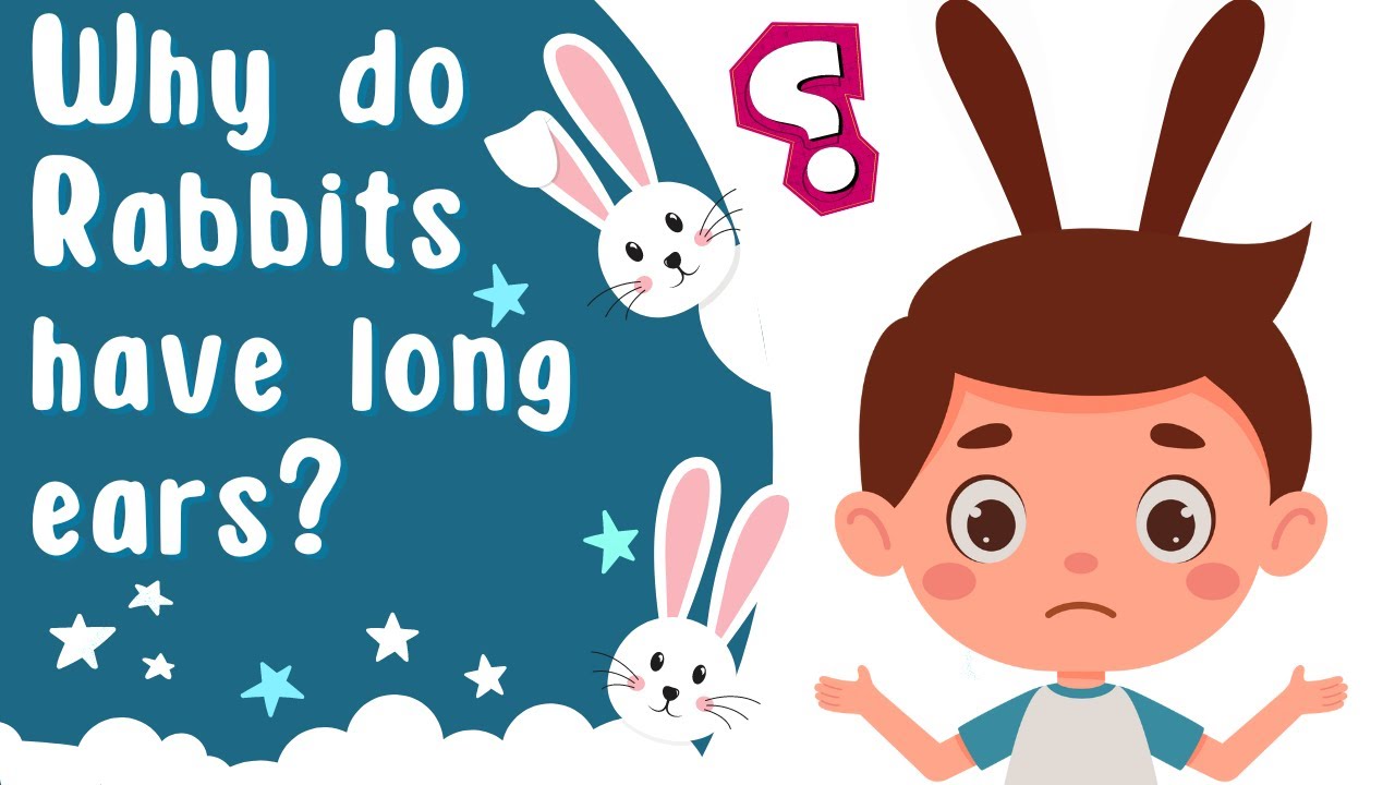 Why Do Rabbits Have Long Ears? | Learning Science | Catherine and Sunny | Only on Pisha Kids TV