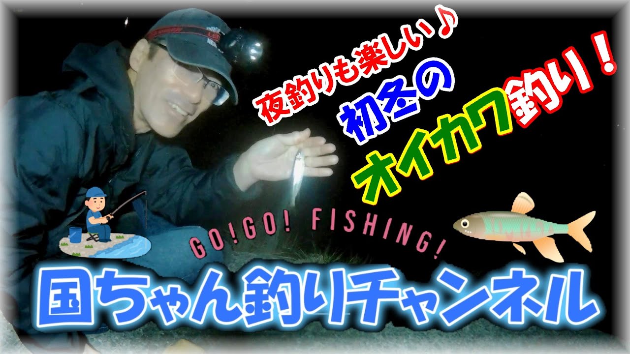 【11月末オイカワ釣り・夕方～夜釣り】大和川の夜釣り・電気ウキで良型オイカワのアタリを取るのはとっても楽しいぞ！その他鯉っ子・ニゴイにモクズガニも！？いつもコメントくれる視聴者さんとも出会った♪