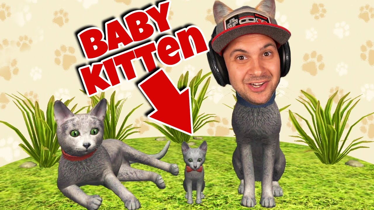 У меня родился котёнок... | Cat Simulator 2020