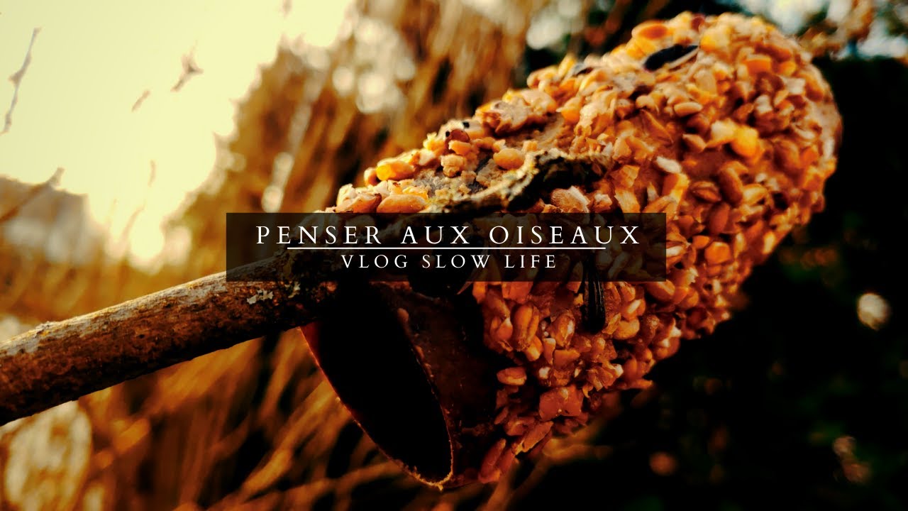 Penser aux oiseaux en hiver 🐦 Fabriquer un nichoir et DIY boules de graisse | VLOG neige slow life