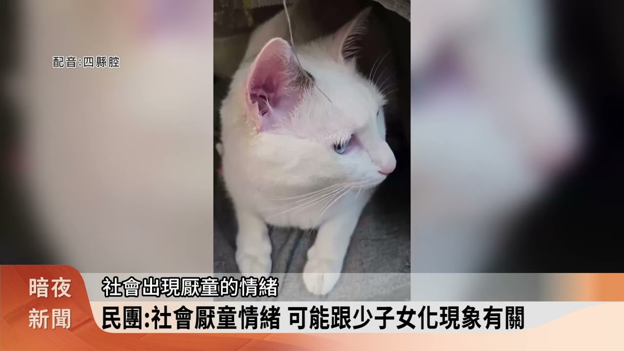 寧聽貓叫不聽孩童哭 大眾運輸「厭童」引討論【客家新聞20260302】