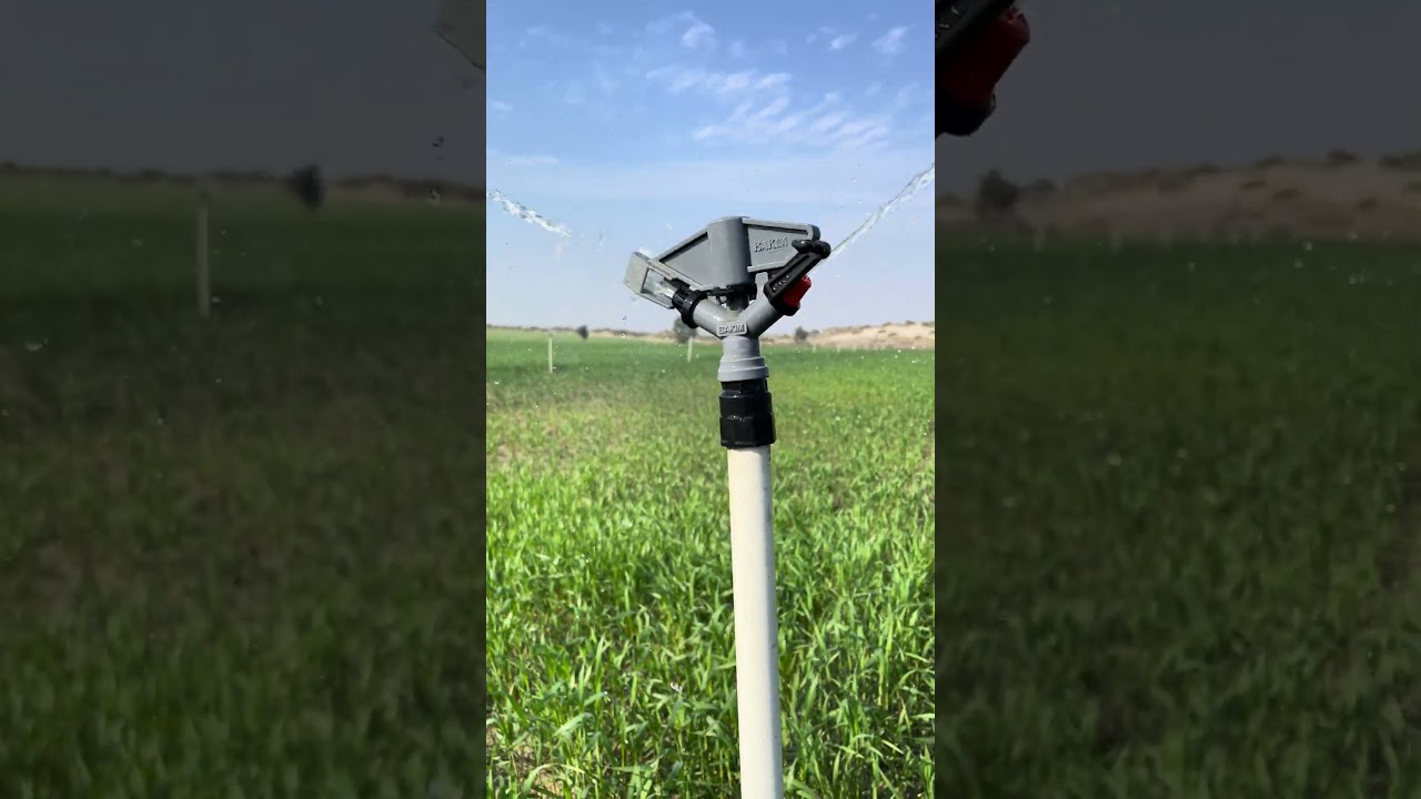Best Mini Master Sprinkler for Agriculture Irrigation 