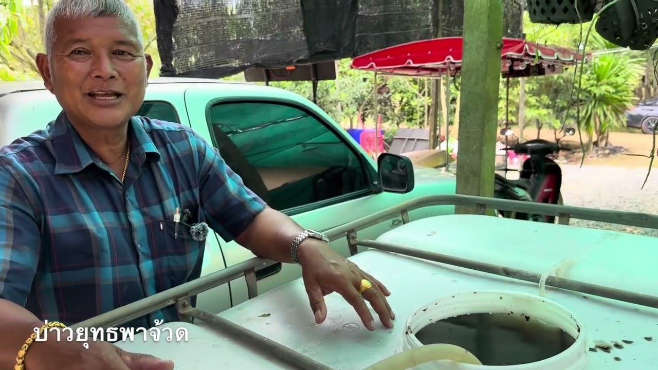สูตรน้ำหมักสะสมอาหารทุเรียนผ่านจุลินทรีย์พด. ฉีดพ่นทางใบ สูตรประยุกต์อาจารย์พรต | บ่าวยุทธพาจ้วด