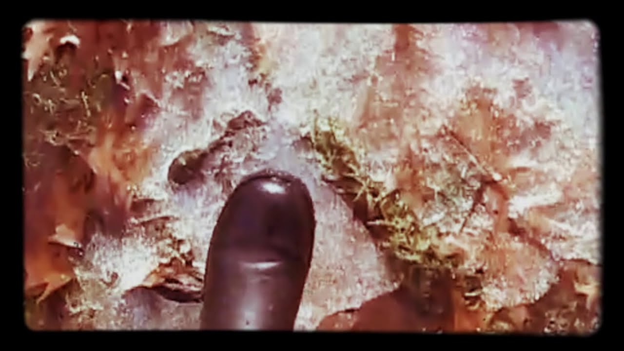 Interdimensional Scout 