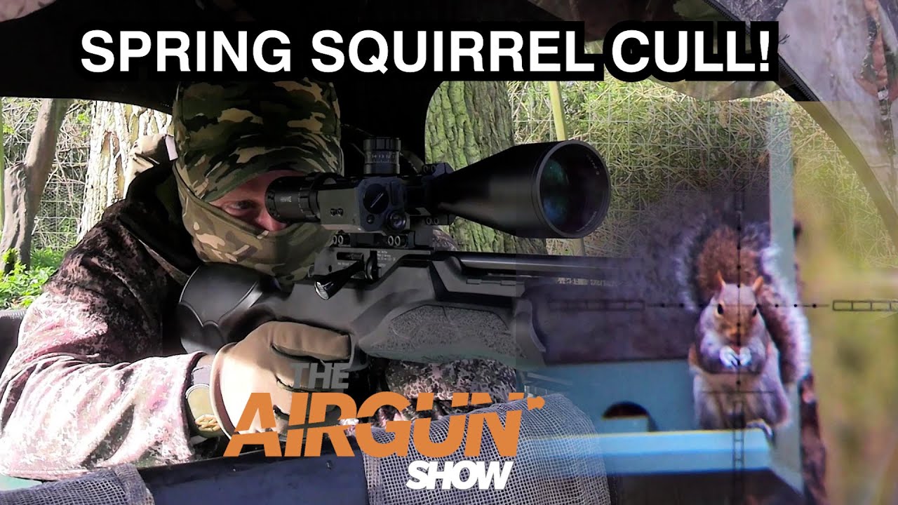 The Airgun Show | Springtime squirrel shooting | MTC Copperhead Safari review