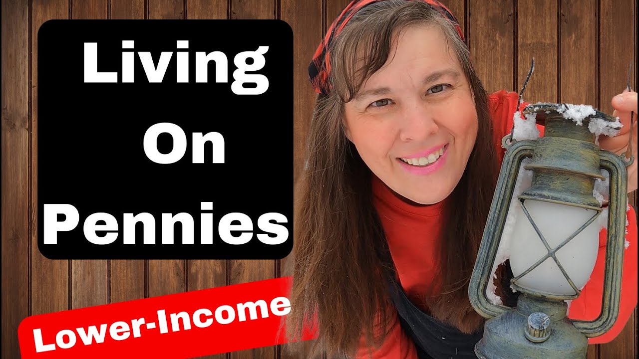 LOWER-INCOME LOOKS LIKE THIS | PENNY PINCHING MAMA