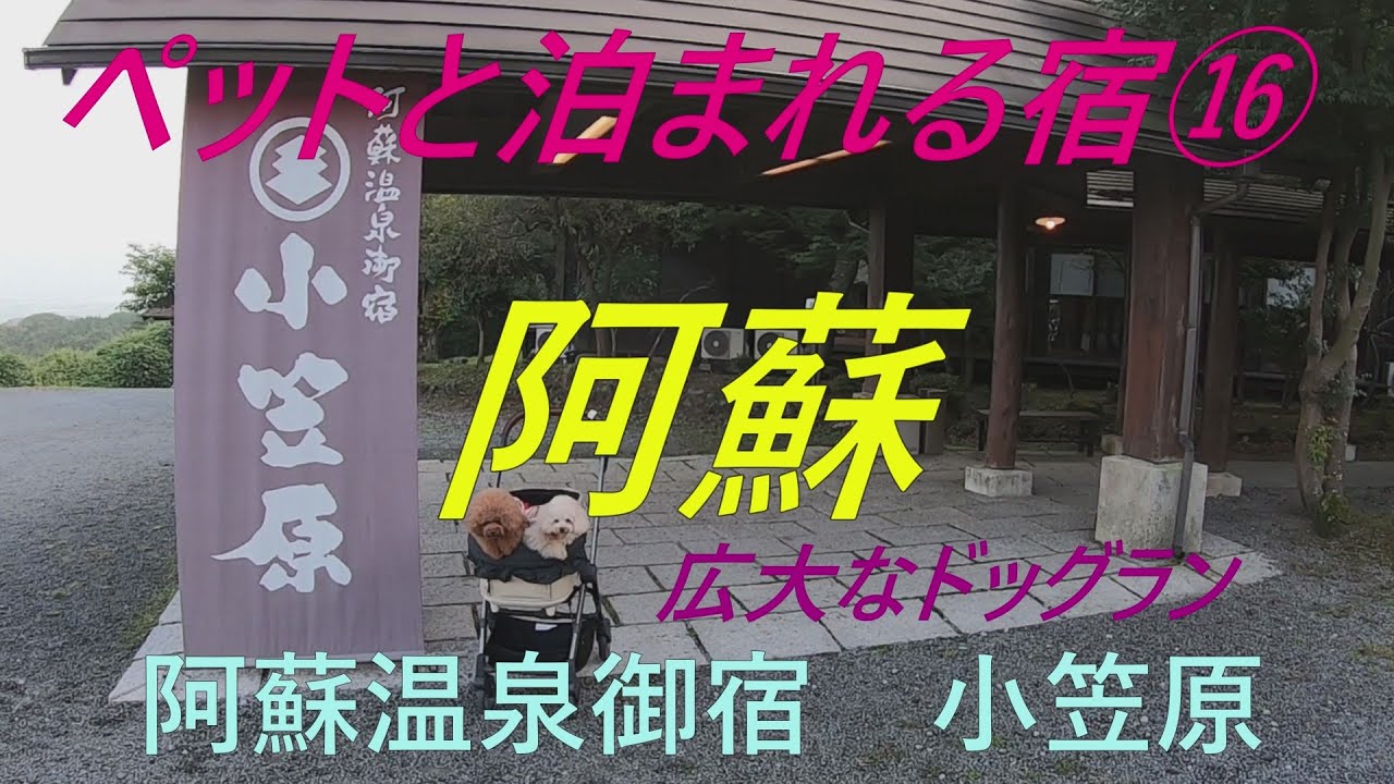ペットと泊まれる宿⑯ 阿蘇温泉御宿　小笠原　７つのドッグラン