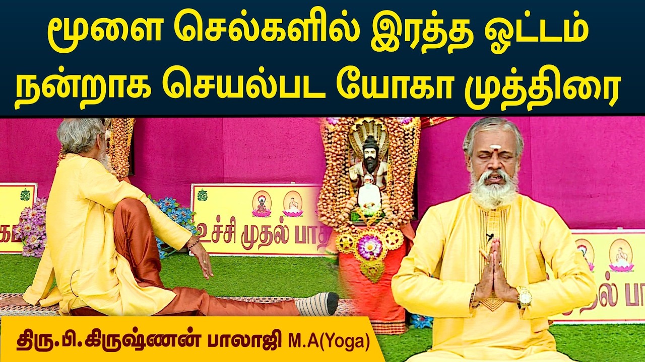 மூளை செல்களில் இரத்த ஓட்டம் நன்றாக செயல்பட யோகா முத்திரை | Krishnan Balaji | YOGA MUDRA | MEGA TV |