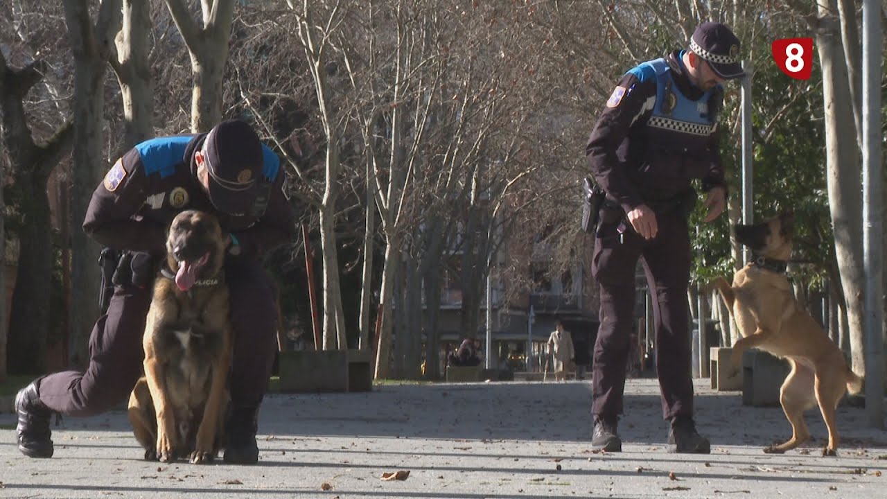 La Unidad Canina cumple un año