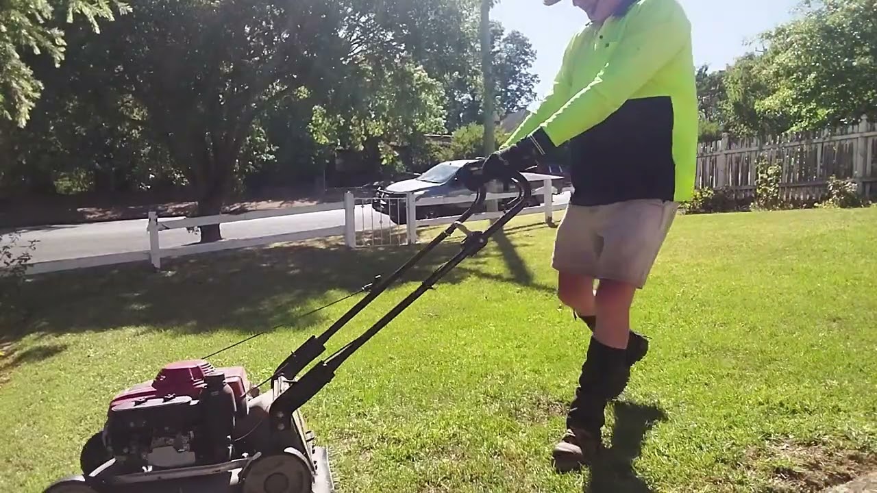 Honda HRU196 Buffalo Pro - Push Mowing #lawncare #honda hru196