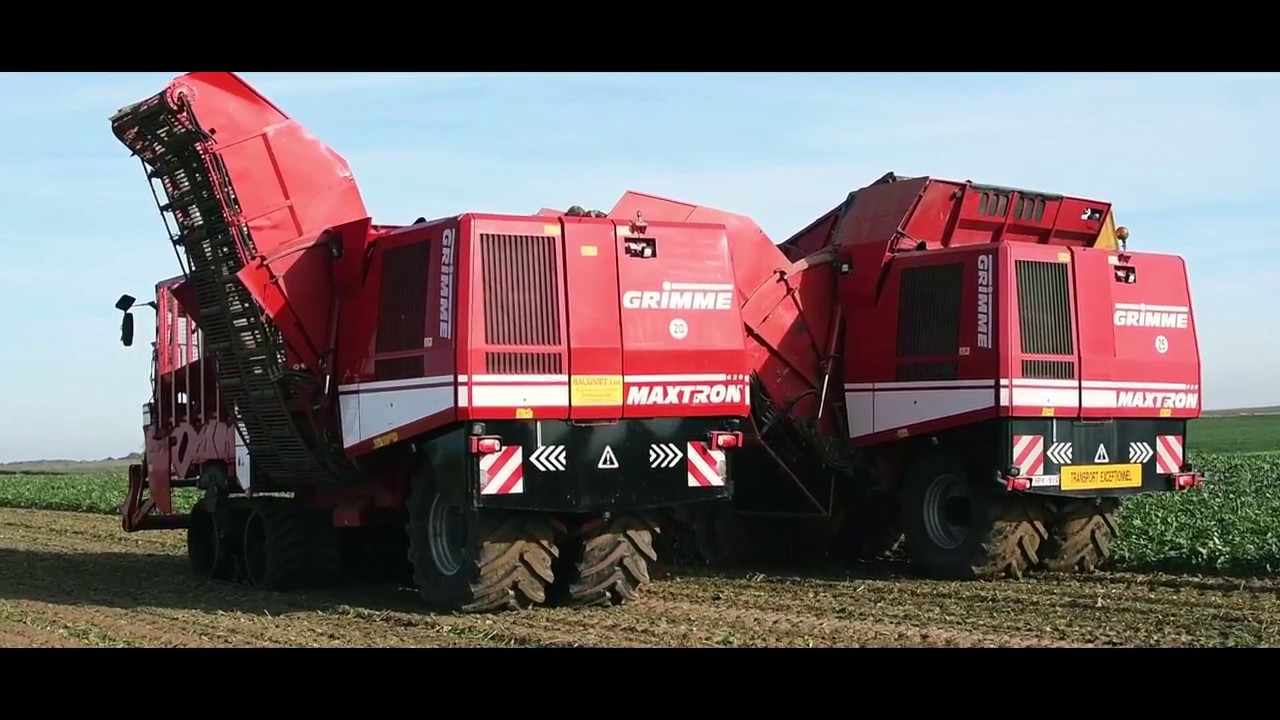 🚜 GRIMME MAXTRON 620 : ARRACHAGE DE BETTERAVE